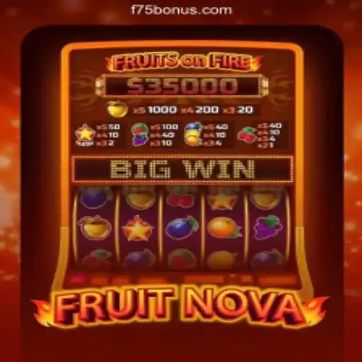 Exploring FruitNova: A New Era in Gaming